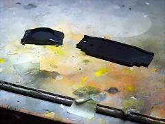 P1070287 P1070287