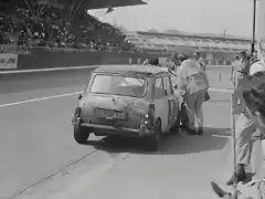 Mini Cooper - TdF'64