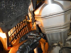 DSCN1365 DSCN1365