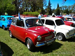 DSC_0686 DSC_0686