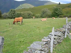 DSCN3277 DSCN3277