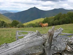 DSCN3273 DSCN3273
