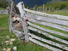 DSCN3276 DSCN3276