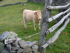 DSCN3280 DSCN3280