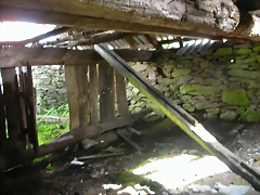 DSCN3270 DSCN3270