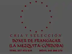 Boxer de Frangacar