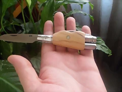 SAM_0649 SAM_0649