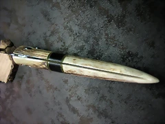 SANY1540