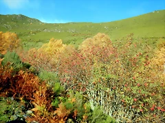 DSCN1340 DSCN1340