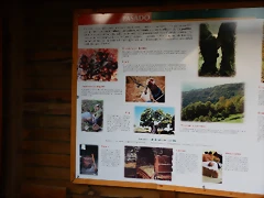 DSCN9303 DSCN9303
