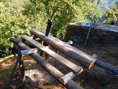DSCN9529 DSCN9529