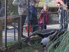 Zoo Barcelona 21-01-12 1241 Zoo Barcelona 21-01-12 1241