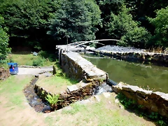 DSCN7724 DSCN7724