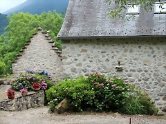 IMG_6522 IMG_6522