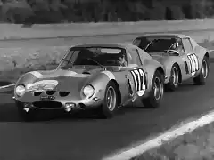 Ferrari 250 GTO - TdF'64 - Bianchi