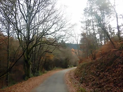 DSCN3138 DSCN3138
