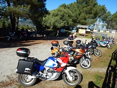 DSCN0967 DSCN0967