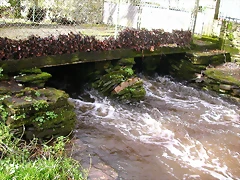 DSCN1107