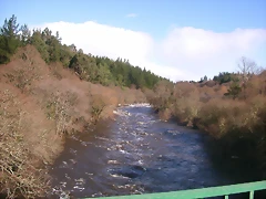 DSCN1181 DSCN1181
