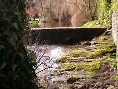 DSCN1109 DSCN1109