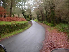 DSCN1163 DSCN1163