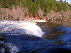 DSCN1184 DSCN1184