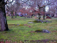 DSCN1121 DSCN1121