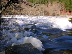 DSCN1183 DSCN1183