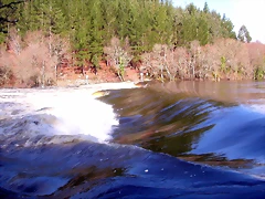 DSCN1191 DSCN1191