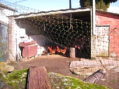 DSCN1180 DSCN1180