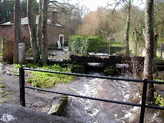 DSCN1102