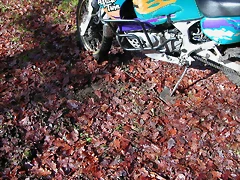 DSCN1139 DSCN1139