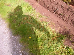 DSCN1150 DSCN1150