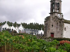 DSCN1153 DSCN1153