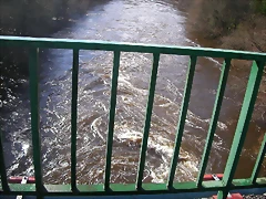 DSCN1182 DSCN1182