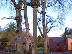 DSCN1124 DSCN1124