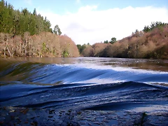 DSCN1186 DSCN1186