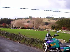 DSCN1100