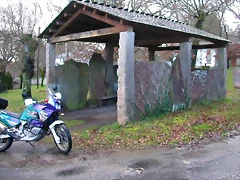 DSCN1119 DSCN1119