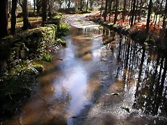 DSCN1136 DSCN1136