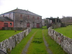 DSCN1164 DSCN1164