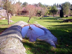 DSCN1130 DSCN1130