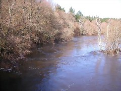 DSCN1172 DSCN1172