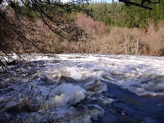 DSCN1189 DSCN1189