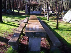DSCN1129 DSCN1129
