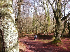 DSCN1142 DSCN1142