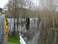 DSCN1114 DSCN1114