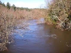 DSCN1171 DSCN1171