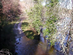 DSCN1175 DSCN1175