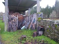 DSCN1170 DSCN1170